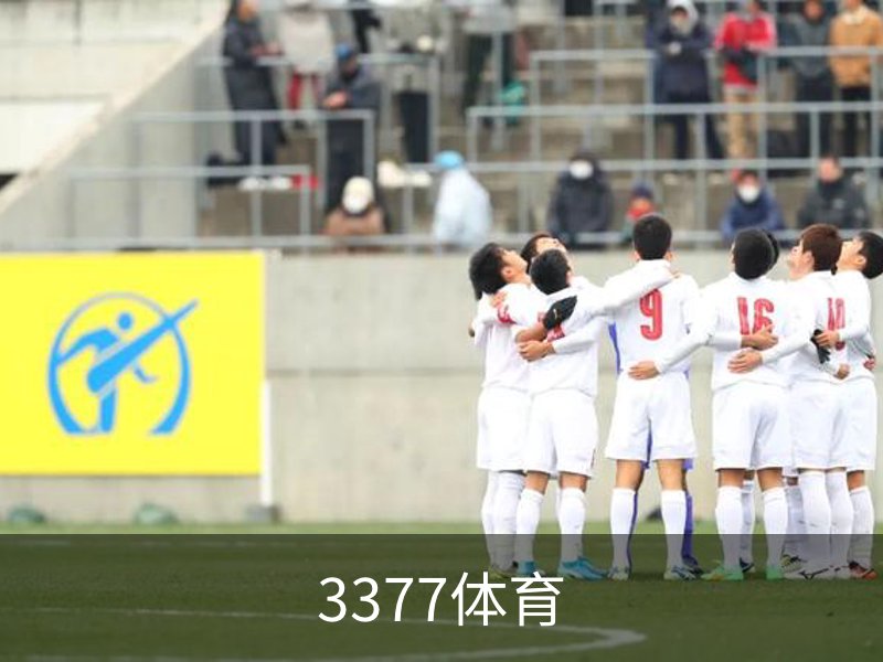 3377体育介绍